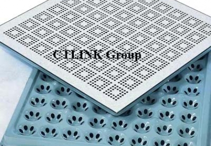 Sàn nâng kỹ thuật lỗ thông gió FS-PER800